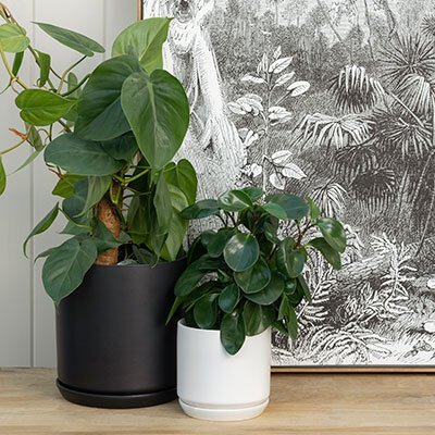 Small Oslo Planter - White