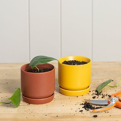 Mini Oslo Planter - Assorted