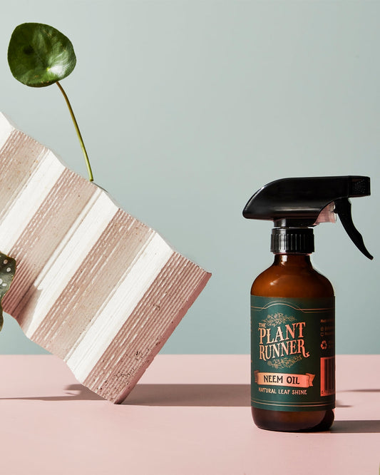 Neem Oil Leaf Shine