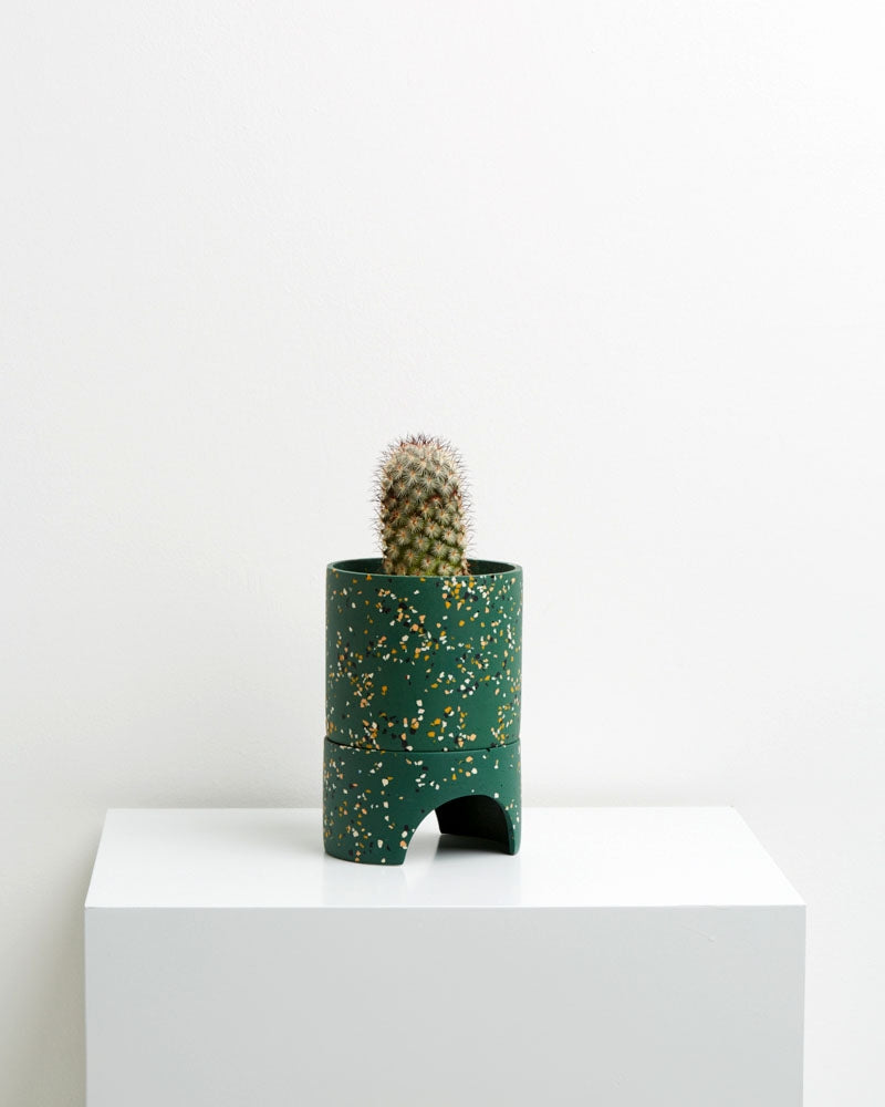 Archie Pot - Emerald Terrazo
