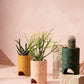 Archie Pot - Fossil Terrazzo